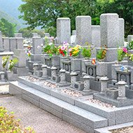一般墓地