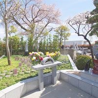 樹木葬(自然葬墓地)
