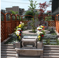 小さな樹木葬(樹木墓) 樹区
