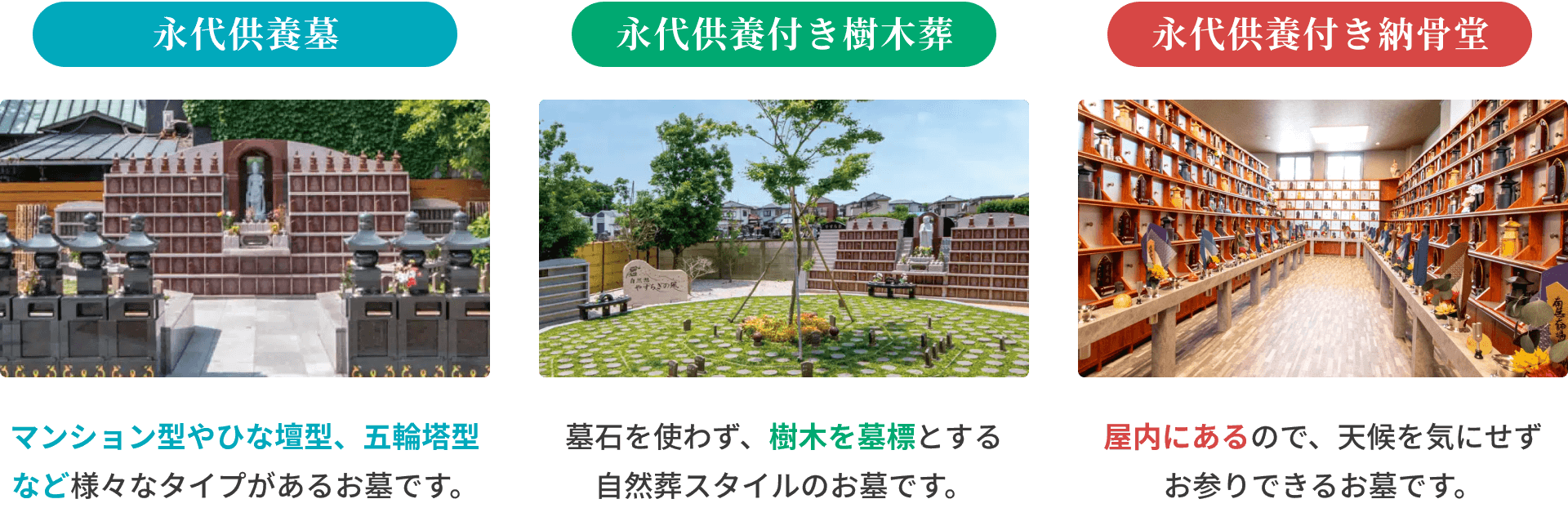 永代供養墓 永代供養付き樹木葬 永代供養付き納骨堂