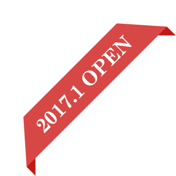 2017.1 OPEN