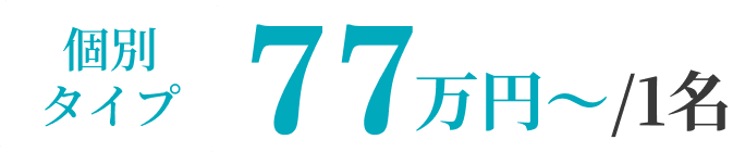 個別タイプ 77万円~/1名