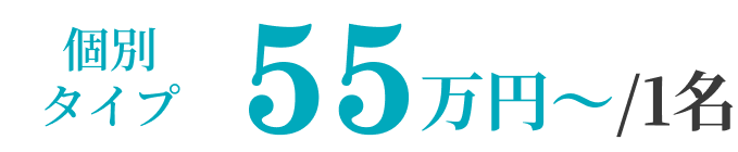 個別タイプ 55万円~/1名