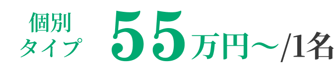 個別タイプ 55万円~/1名