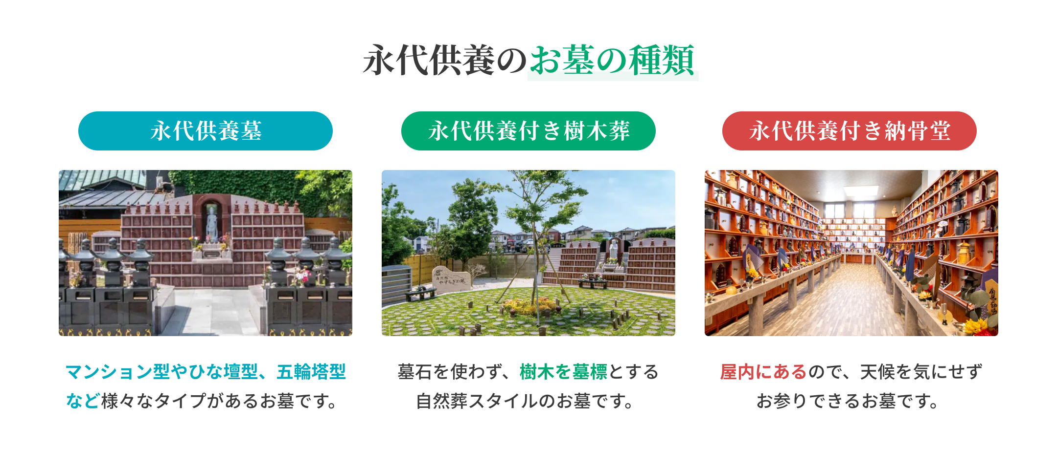 永代供養のお墓の種類 / 永代供養墓 / 永代供養付き樹木葬 / 永代供養付き納骨堂