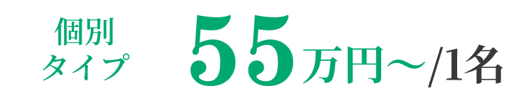 個別タイプ 55万円~/1名