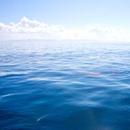 永代供養付海洋葬