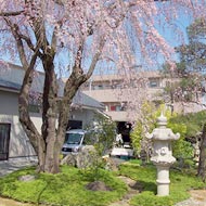 樹木葬（自然葬墓地）「桜風苑」