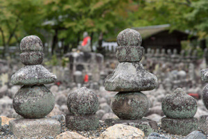 自然葬とは?どんな種類がある?