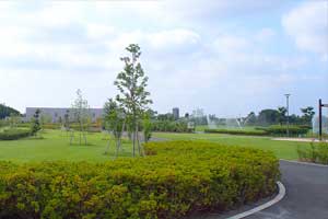 荒川沿いに広がる開放的な空間