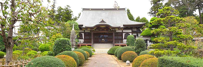 千葉県柏市「龍泉院」周辺のおすすめスポット