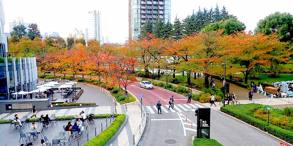 東京ミッドタウンの都会のオアシス「檜町公園」