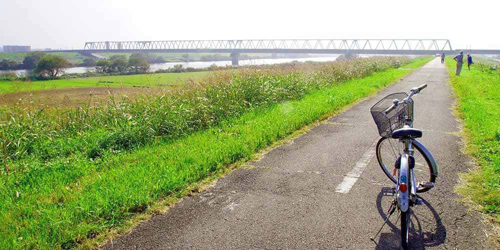 江戸川サイクリングロードで気分爽快!水と緑の街を散策