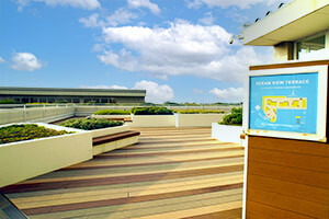 海の幸に山の幸 木更津で旬の味覚をエンジョイ 公式 エータイ