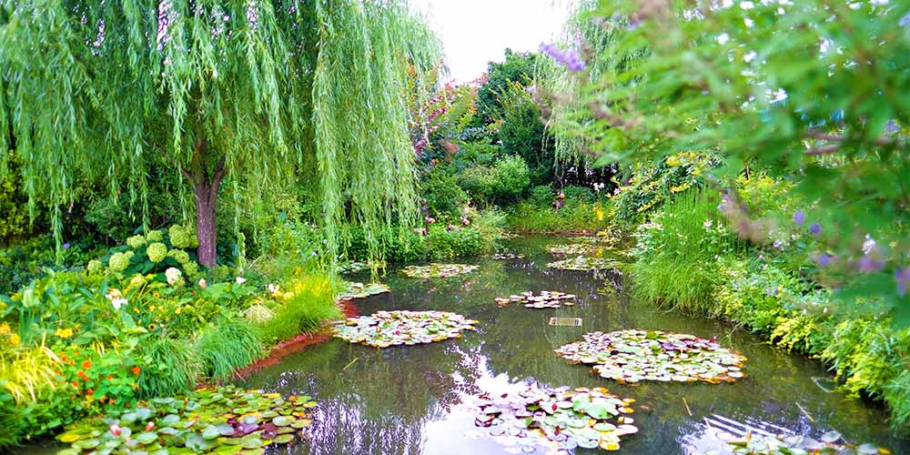 デパート屋上にモネの睡蓮?「食と緑の空中庭園」