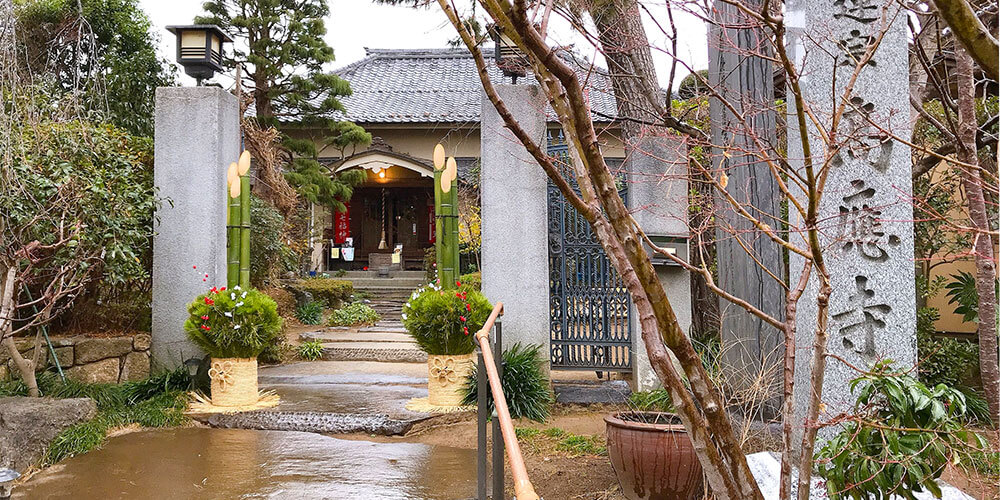 TV出演で話題!女性住職のお寺高応寺(こうおうじ)へ