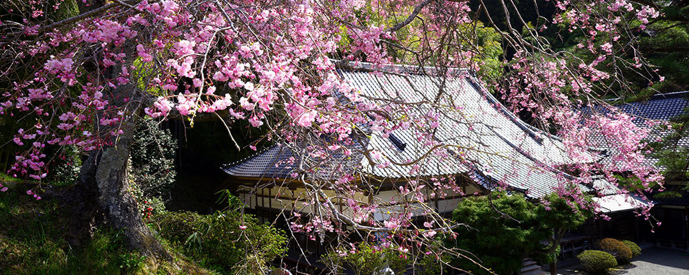 岩手県陸前高田市「無極寺」周辺のおすすめスポット