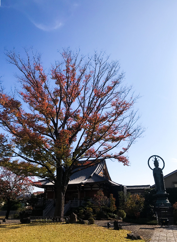 正光寺　冬の境内