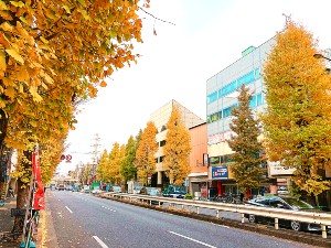 「杉並百景」に指定された杉並の観光名所
