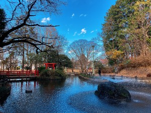 澄んだ空気、綺麗な水!気分転換に最適な場所