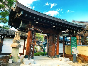 500年以上の歴史がある「圓福寺」