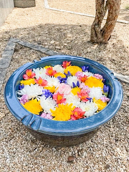 色鮮やかな花手水 開栄寺 埼玉県日高市 公式 エータイ