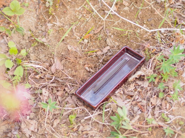 日本で土葬はできる？