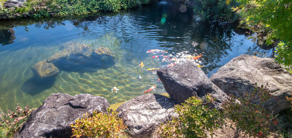 万福寺 日本庭園を思わせる池