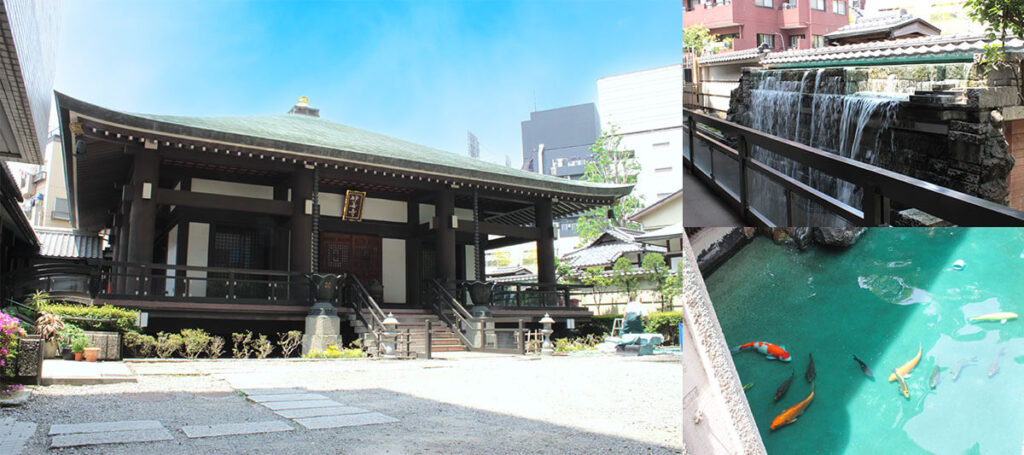本堂前、鯉と滝｜東京都港区・妙善寺