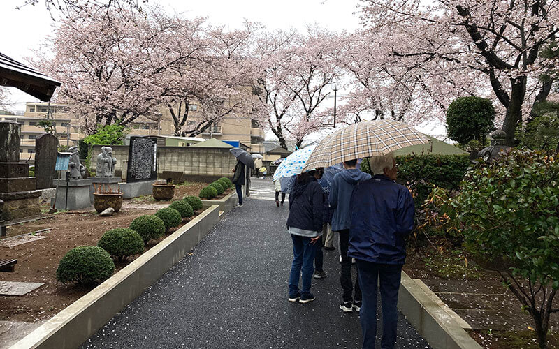 散策クイズ｜市川市 妙正寺「桜祭り」