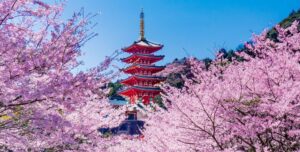 本福寺-五重塔