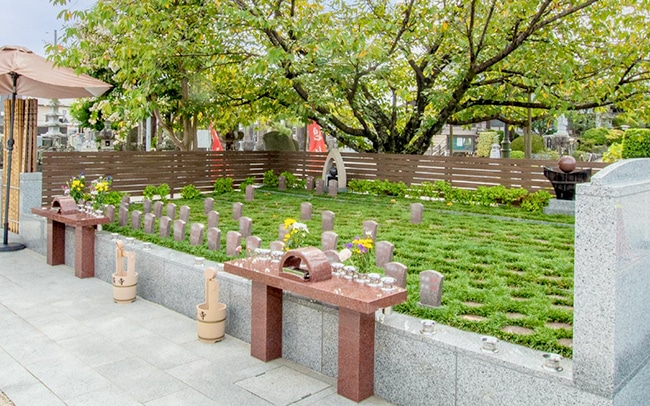 深廣寺-永代供養付樹木葬（自然葬墓地）